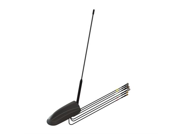 Panorama GPSD 4G/WiFi MiMo-bilantenne Lavprofilantenne for bilmontering